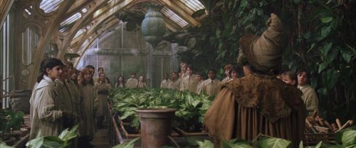 CS-Potterish_02159.jpg
