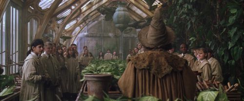 CS-Potterish_02160.jpg