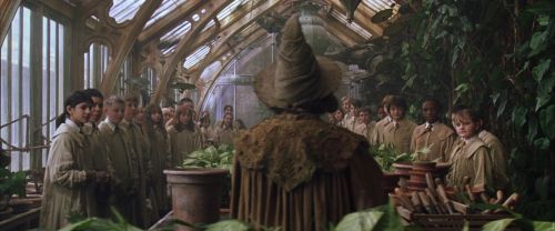 CS-Potterish_02161.jpg