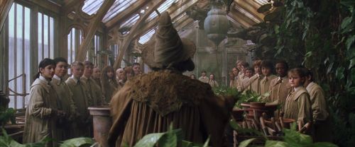 Click to view full size image
==============
CS-Potterish_02162.jpg CS-Potterish_02162.jpg