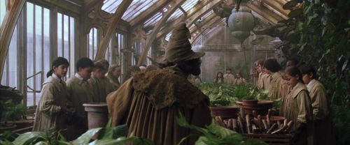 CS-Potterish_02163.jpg
