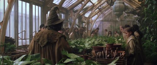 Click to view full size image
==============
CS-Potterish_02164.jpg CS-Potterish_02164.jpg