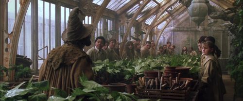 Click to view full size image
==============
CS-Potterish_02165.jpg CS-Potterish_02165.jpg