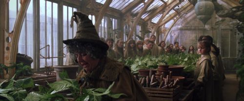 Click to view full size image
==============
CS-Potterish_02167.jpg CS-Potterish_02167.jpg