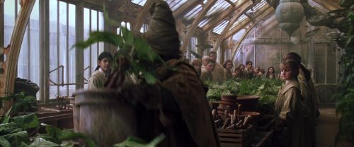 Click to view full size image
==============
CS-Potterish_02168.jpg CS-Potterish_02168.jpg