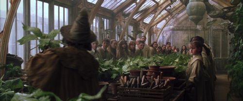 CS-Potterish_02169.jpg