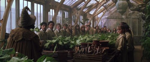 CS-Potterish_02170.jpg