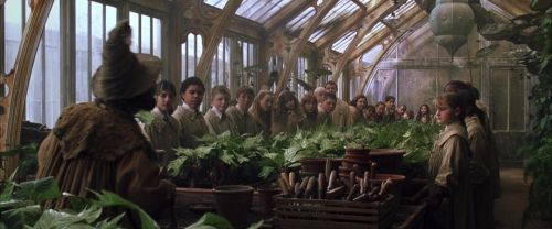 Click to view full size image
==============
CS-Potterish_02171.jpg CS-Potterish_02171.jpg