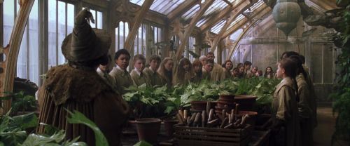 Click to view full size image
==============
CS-Potterish_02172.jpg CS-Potterish_02172.jpg