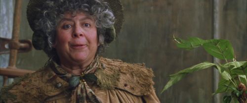 CS-Potterish_02173.jpg