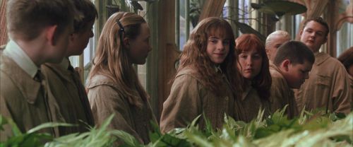 CS-Potterish_02174.jpg