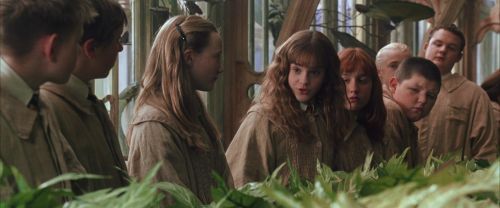 Click to view full size image
==============
CS-Potterish_02175.jpg CS-Potterish_02175.jpg
