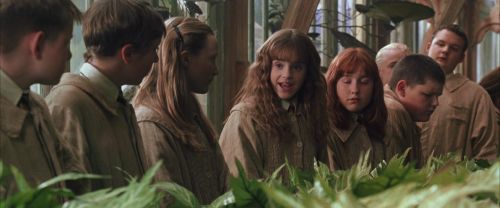 Click to view full size image
==============
CS-Potterish_02177.jpg CS-Potterish_02177.jpg