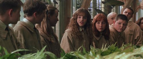 Click to view full size image
==============
CS-Potterish_02178.jpg CS-Potterish_02178.jpg