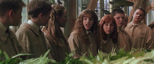 CS-Potterish_02180.jpg