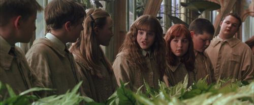 Click to view full size image
==============
CS-Potterish_02181.jpg CS-Potterish_02181.jpg
