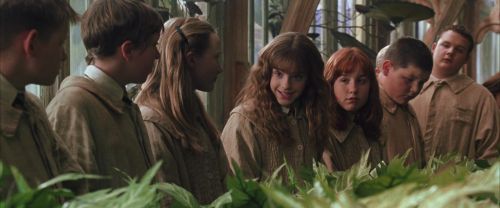 Click to view full size image
==============
CS-Potterish_02182.jpg CS-Potterish_02182.jpg