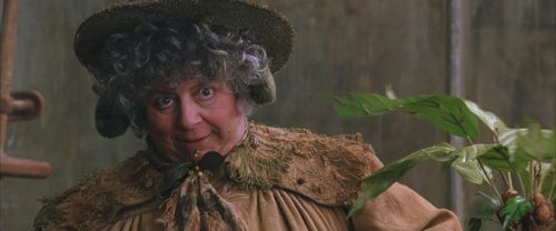 Click to view full size image
==============
CS-Potterish_02183.jpg CS-Potterish_02183.jpg