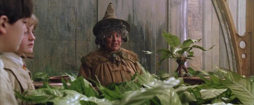 CS-Potterish_02190.jpg