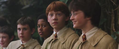 CS-Potterish_02192.jpg
