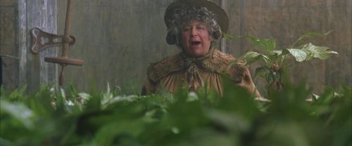 CS-Potterish_02202.jpg