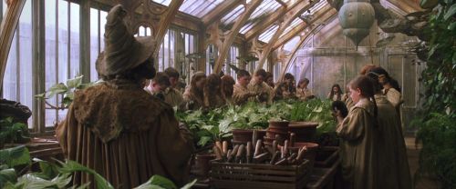 CS-Potterish_02207.jpg