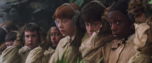 Click to view full size image
==============
CS-Potterish_02212.jpg CS-Potterish_02212.jpg