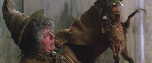Click to view full size image
==============
CS-Potterish_02219.jpg CS-Potterish_02219.jpg