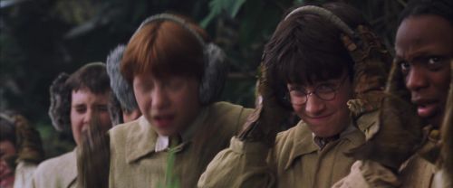 CS-Potterish_02221.jpg