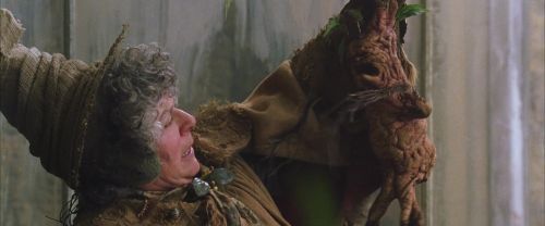 Click to view full size image
==============
CS-Potterish_02223.jpg CS-Potterish_02223.jpg