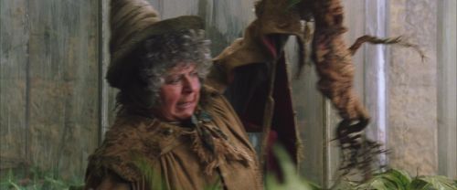 Click to view full size image
==============
CS-Potterish_02227.jpg CS-Potterish_02227.jpg