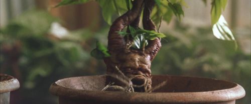 Click to view full size image
==============
CS-Potterish_02229.jpg CS-Potterish_02229.jpg