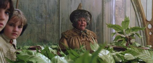 Click to view full size image
==============
CS-Potterish_02239.jpg CS-Potterish_02239.jpg