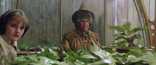 Click to view full size image
==============
CS-Potterish_02240.jpg CS-Potterish_02240.jpg