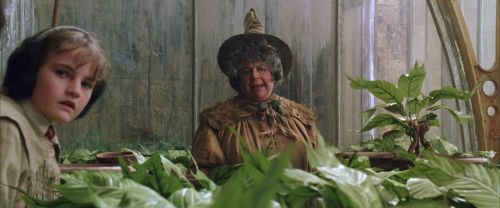 CS-Potterish_02241.jpg