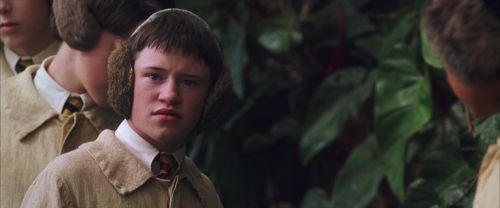 CS-Potterish_02249.jpg