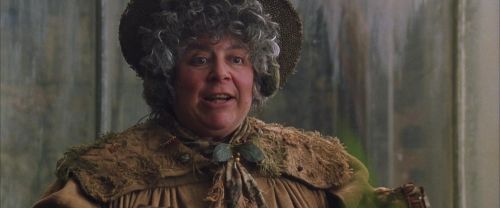 CS-Potterish_02253.jpg
