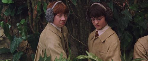 CS-Potterish_02255.jpg