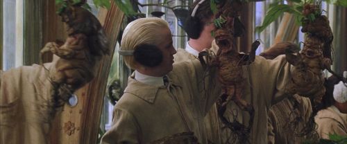 CS-Potterish_02259.jpg