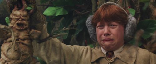 CS-Potterish_02260.jpg