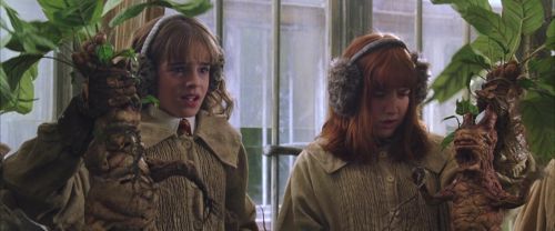 Click to view full size image
==============
CS-Potterish_02261.jpg CS-Potterish_02261.jpg