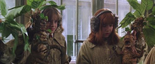 Click to view full size image
==============
CS-Potterish_02262.jpg CS-Potterish_02262.jpg