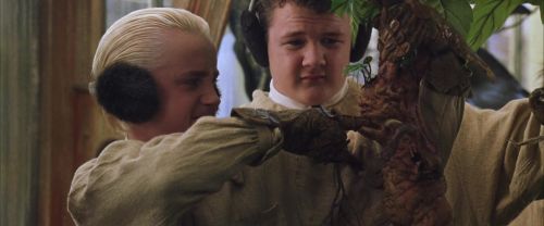 Click to view full size image
==============
CS-Potterish_02267.jpg CS-Potterish_02267.jpg