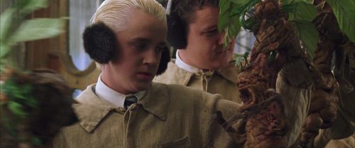 CS-Potterish_02271.jpg
