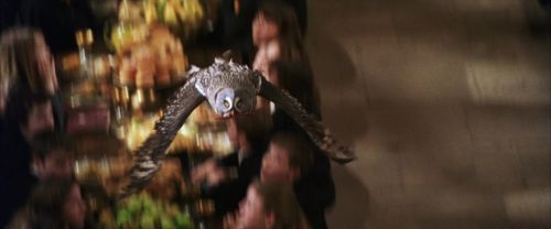 Click to view full size image
==============
CS-Potterish_02319.jpg CS-Potterish_02319.jpg