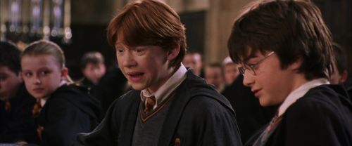 CS-Potterish_02329.jpg