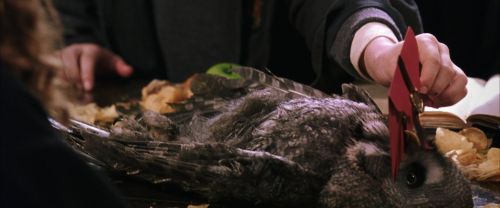 CS-Potterish_02331.jpg