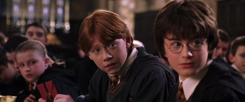 CS-Potterish_02350.jpg