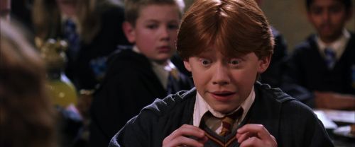 CS-Potterish_02361.jpg