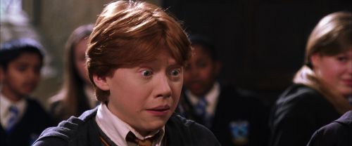 CS-Potterish_02371.jpg